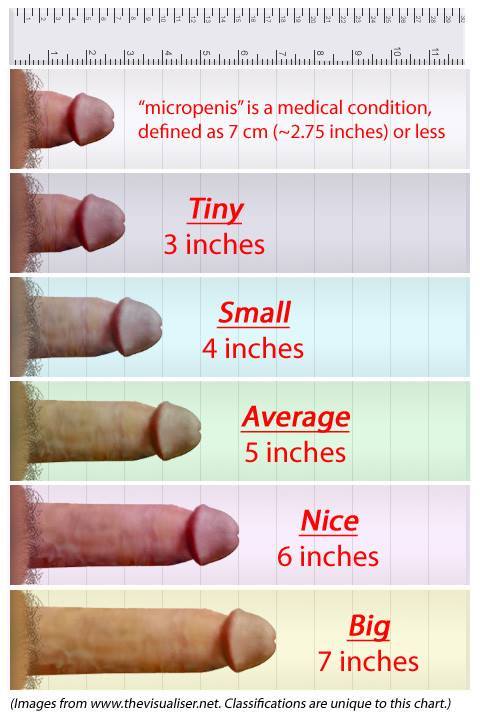 Average size 5inch penis cock with