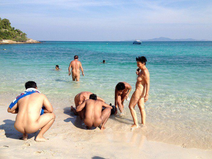 best of Florida sarasota beach public nudity