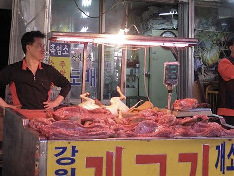 best of Meat fresh south koreas