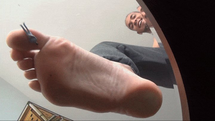 best of Black soles reverse creme feet