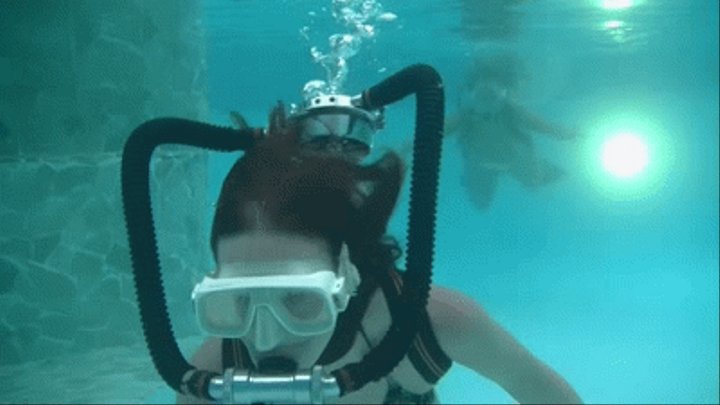 Hedgehog reccomend scuba dive course irina