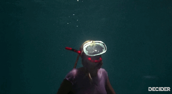 Learns scuba diving